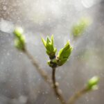 حرفه‌ای در مدیریت منابع انسانی کیست؟